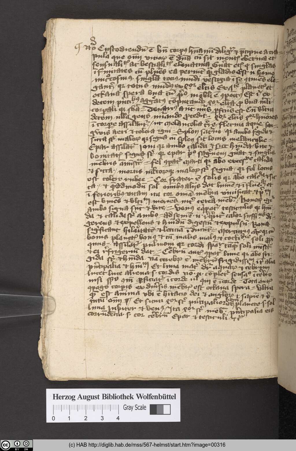 http://diglib.hab.de/mss/567-helmst/00316.jpg