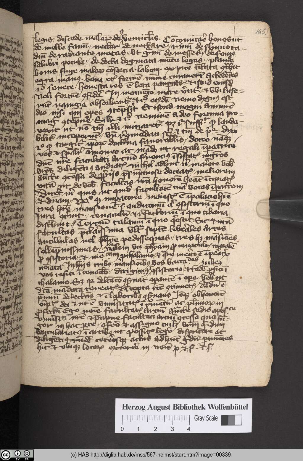 http://diglib.hab.de/mss/567-helmst/00339.jpg