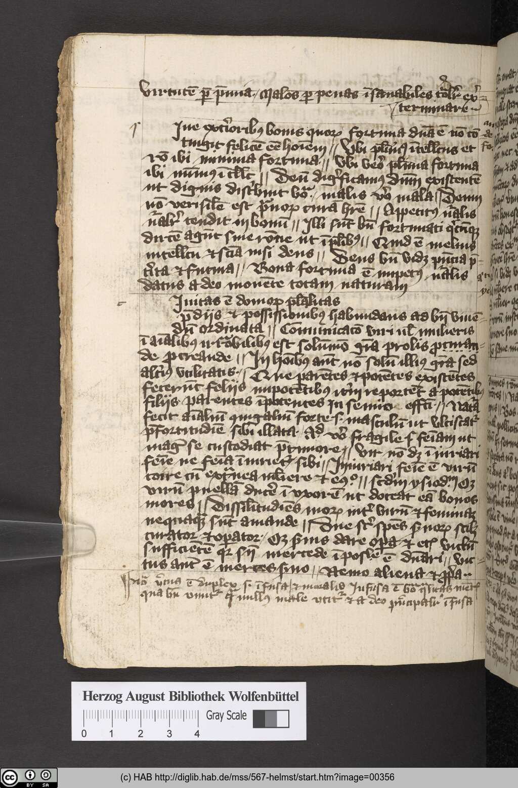 http://diglib.hab.de/mss/567-helmst/00356.jpg