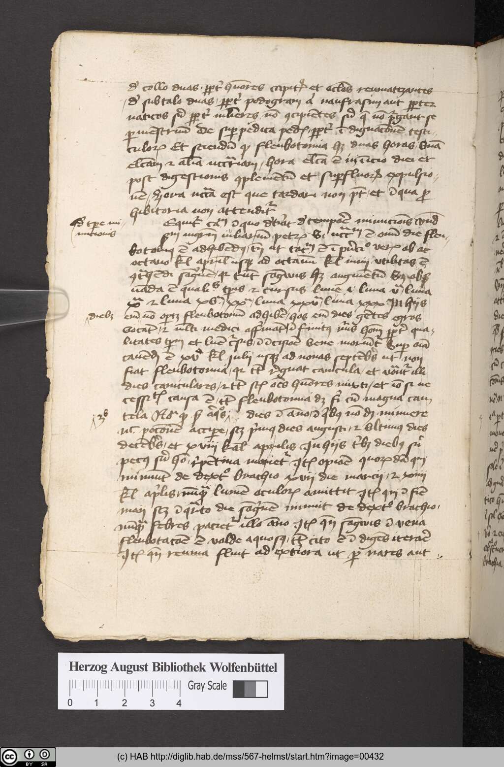 http://diglib.hab.de/mss/567-helmst/00432.jpg