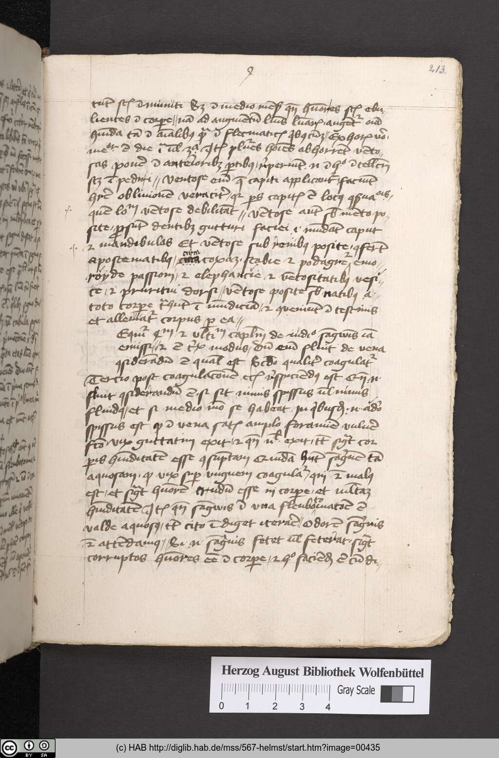 http://diglib.hab.de/mss/567-helmst/00435.jpg
