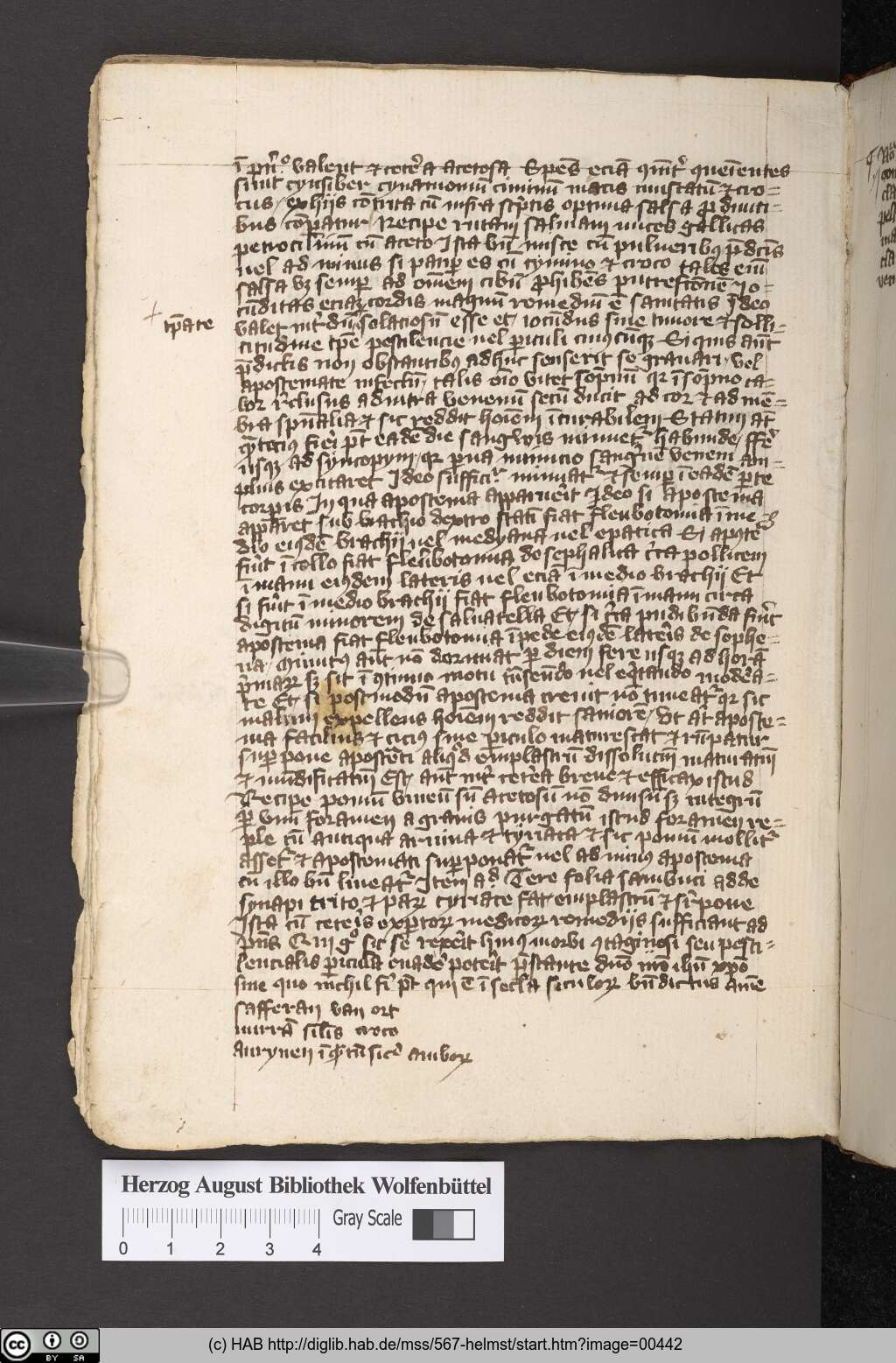 http://diglib.hab.de/mss/567-helmst/00442.jpg