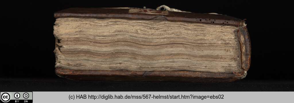 http://diglib.hab.de/mss/567-helmst/ebs02.jpg