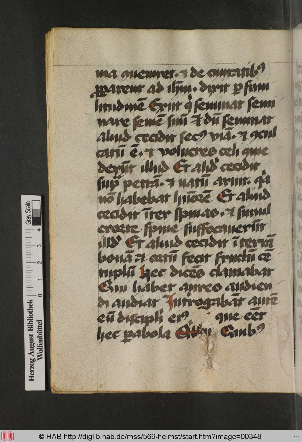 http://diglib.hab.de/mss/569-helmst/00348.jpg