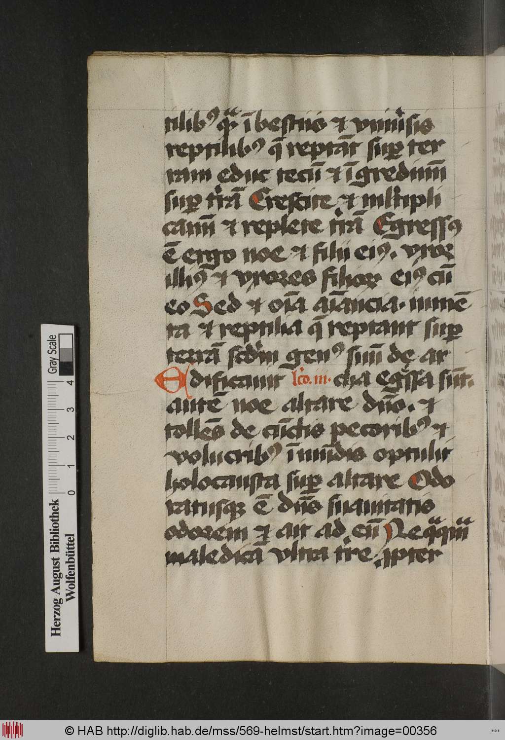 http://diglib.hab.de/mss/569-helmst/00356.jpg