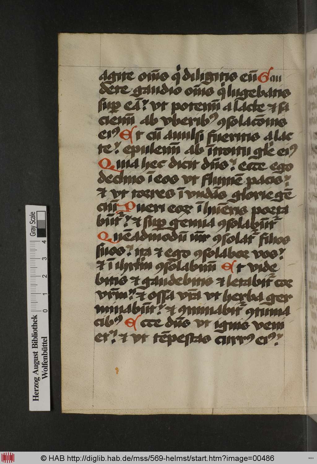 http://diglib.hab.de/mss/569-helmst/00486.jpg