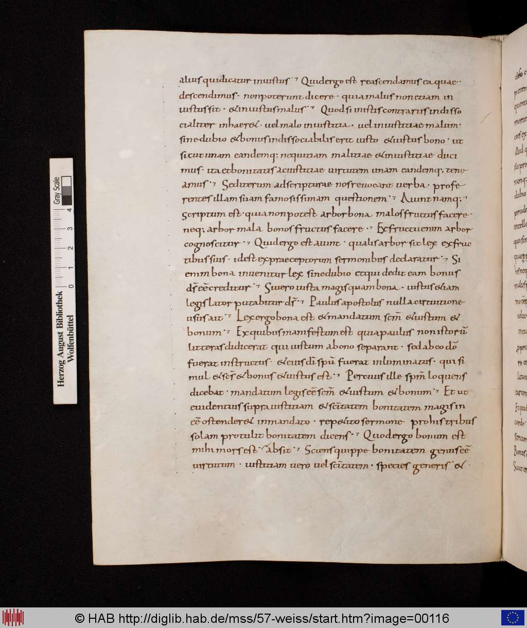 http://diglib.hab.de/mss/57-weiss/00116.jpg