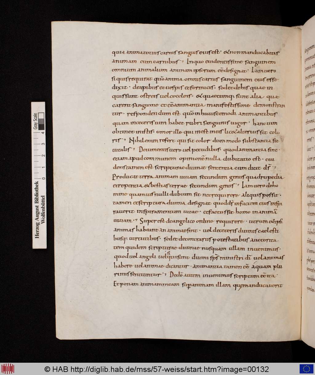 http://diglib.hab.de/mss/57-weiss/00132.jpg