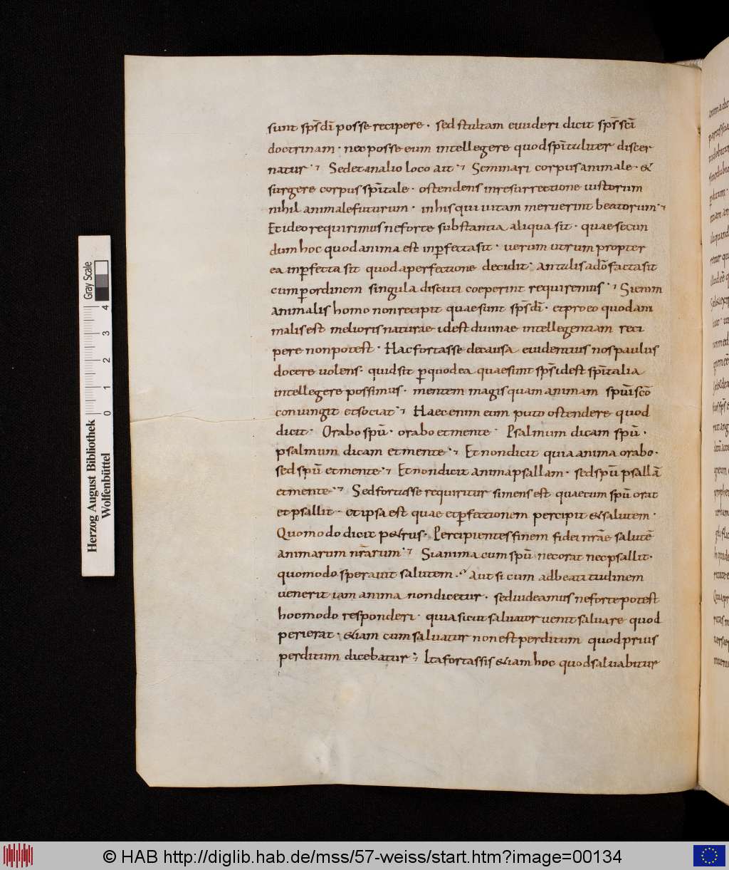 http://diglib.hab.de/mss/57-weiss/00134.jpg