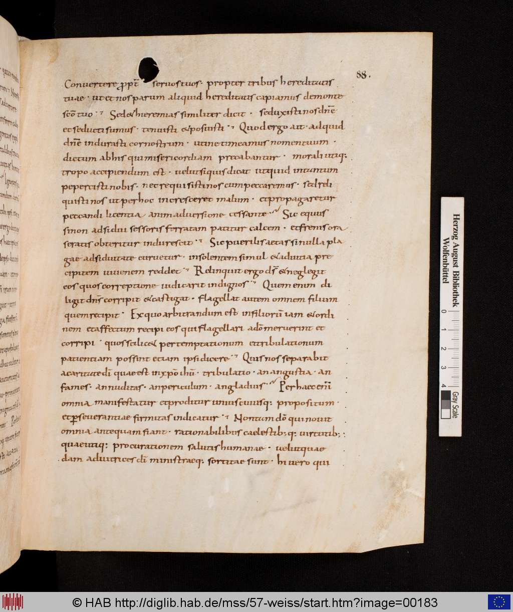 http://diglib.hab.de/mss/57-weiss/00183.jpg