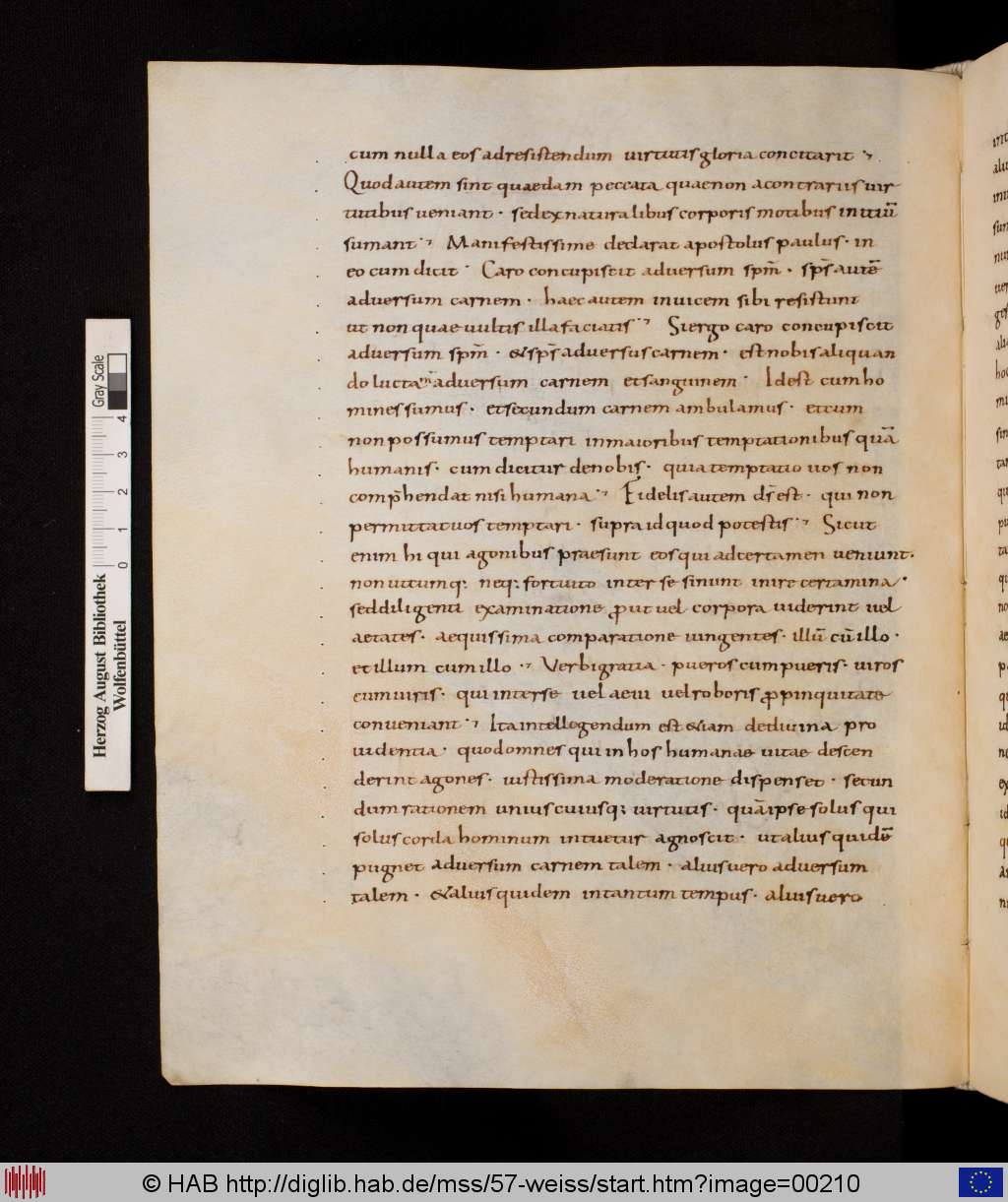 http://diglib.hab.de/mss/57-weiss/00210.jpg