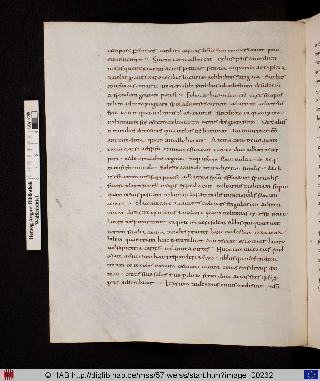 http://diglib.hab.de/mss/57-weiss/00232.jpg