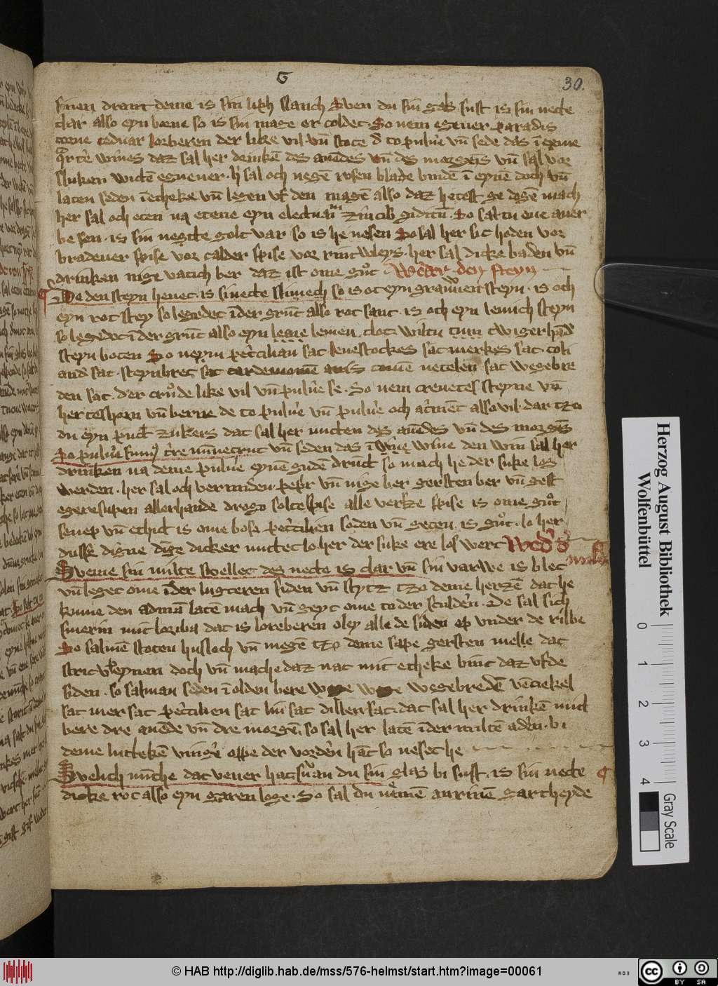 http://diglib.hab.de/mss/576-helmst/00061.jpg