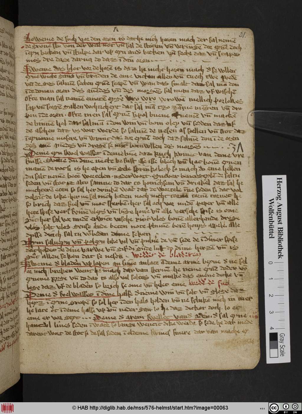 http://diglib.hab.de/mss/576-helmst/00063.jpg