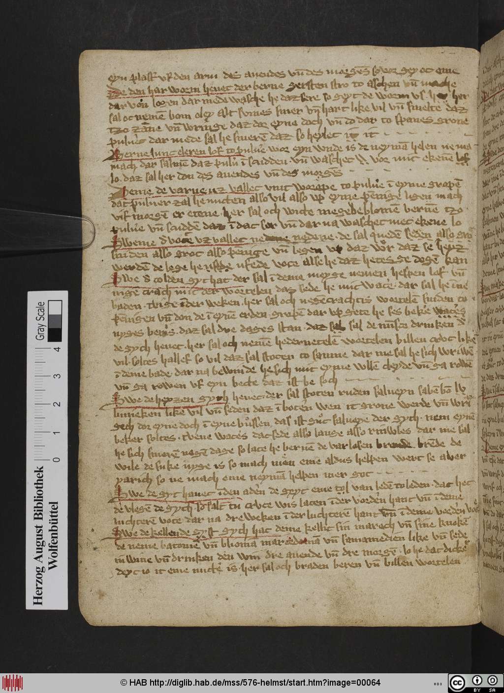http://diglib.hab.de/mss/576-helmst/00064.jpg