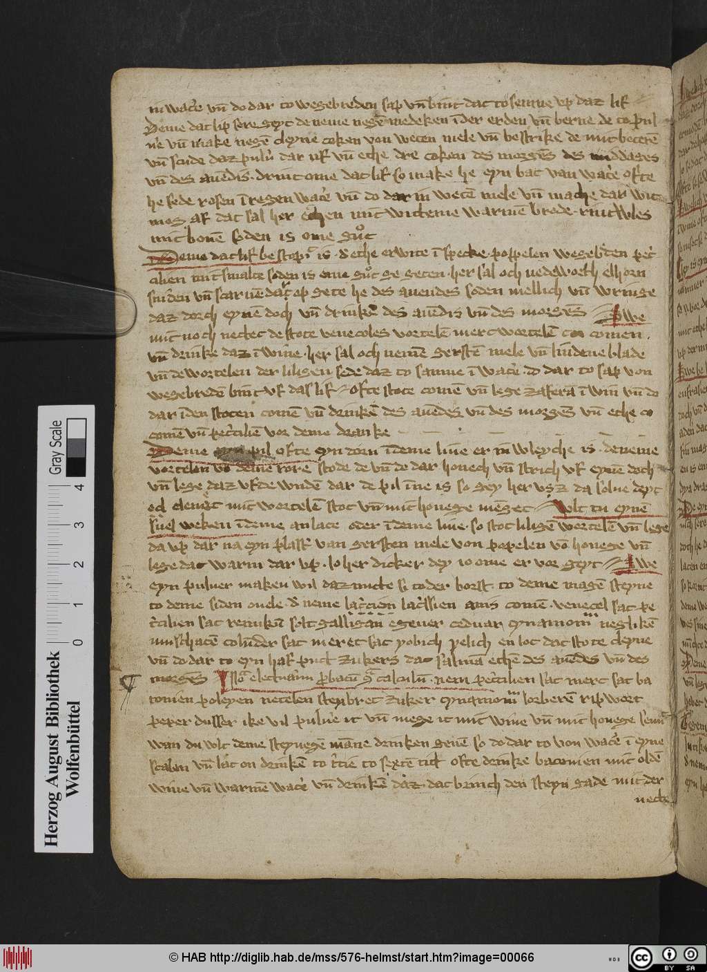 http://diglib.hab.de/mss/576-helmst/00066.jpg