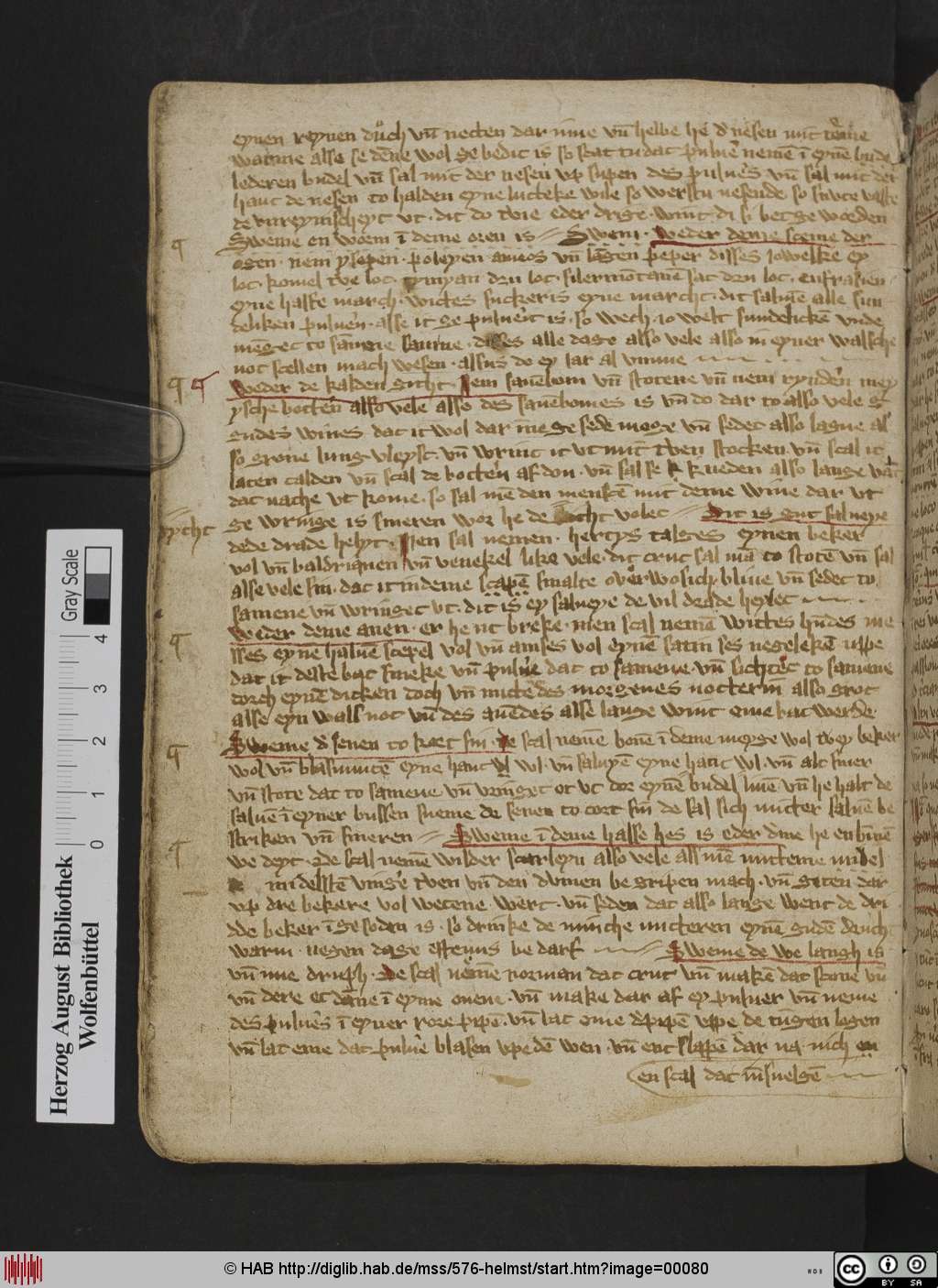 http://diglib.hab.de/mss/576-helmst/00080.jpg