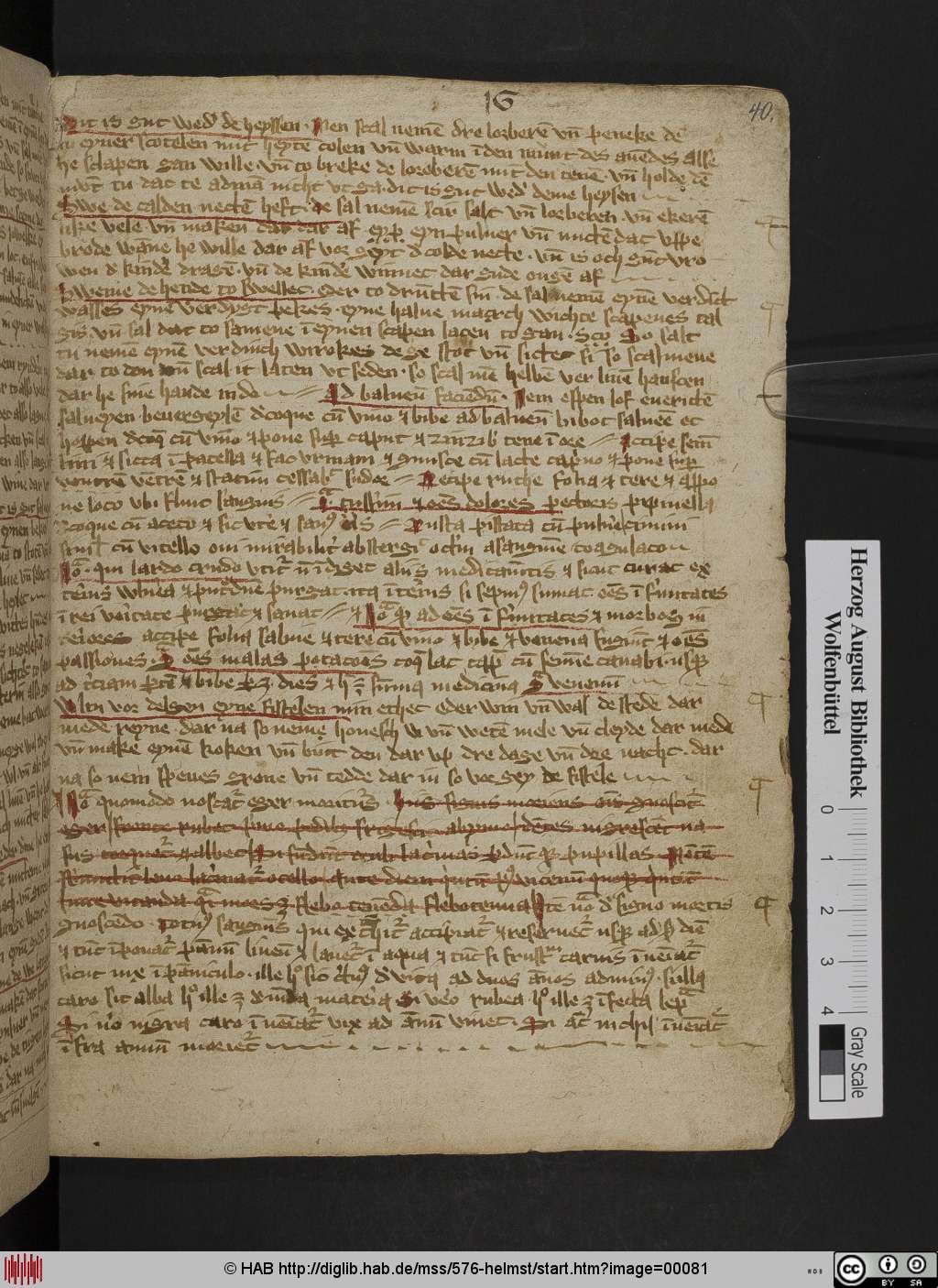 http://diglib.hab.de/mss/576-helmst/00081.jpg