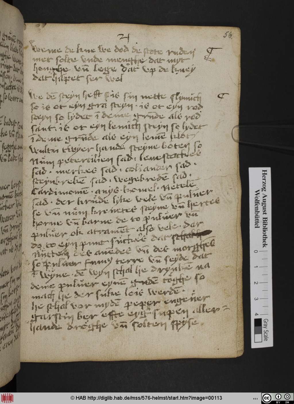 http://diglib.hab.de/mss/576-helmst/00113.jpg