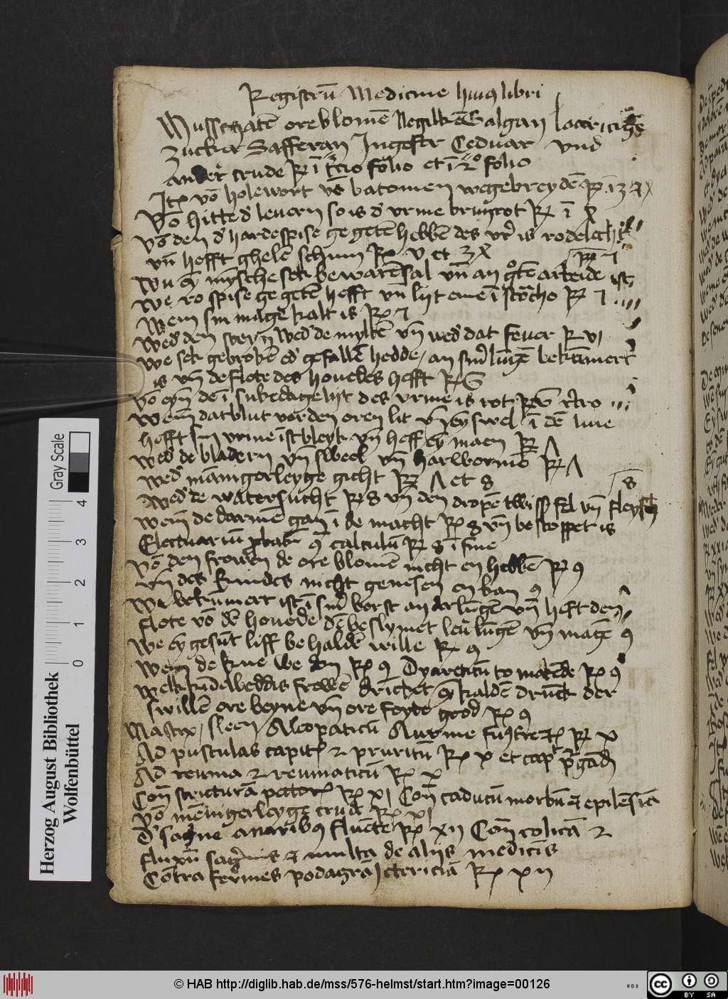 http://diglib.hab.de/mss/576-helmst/00126.jpg