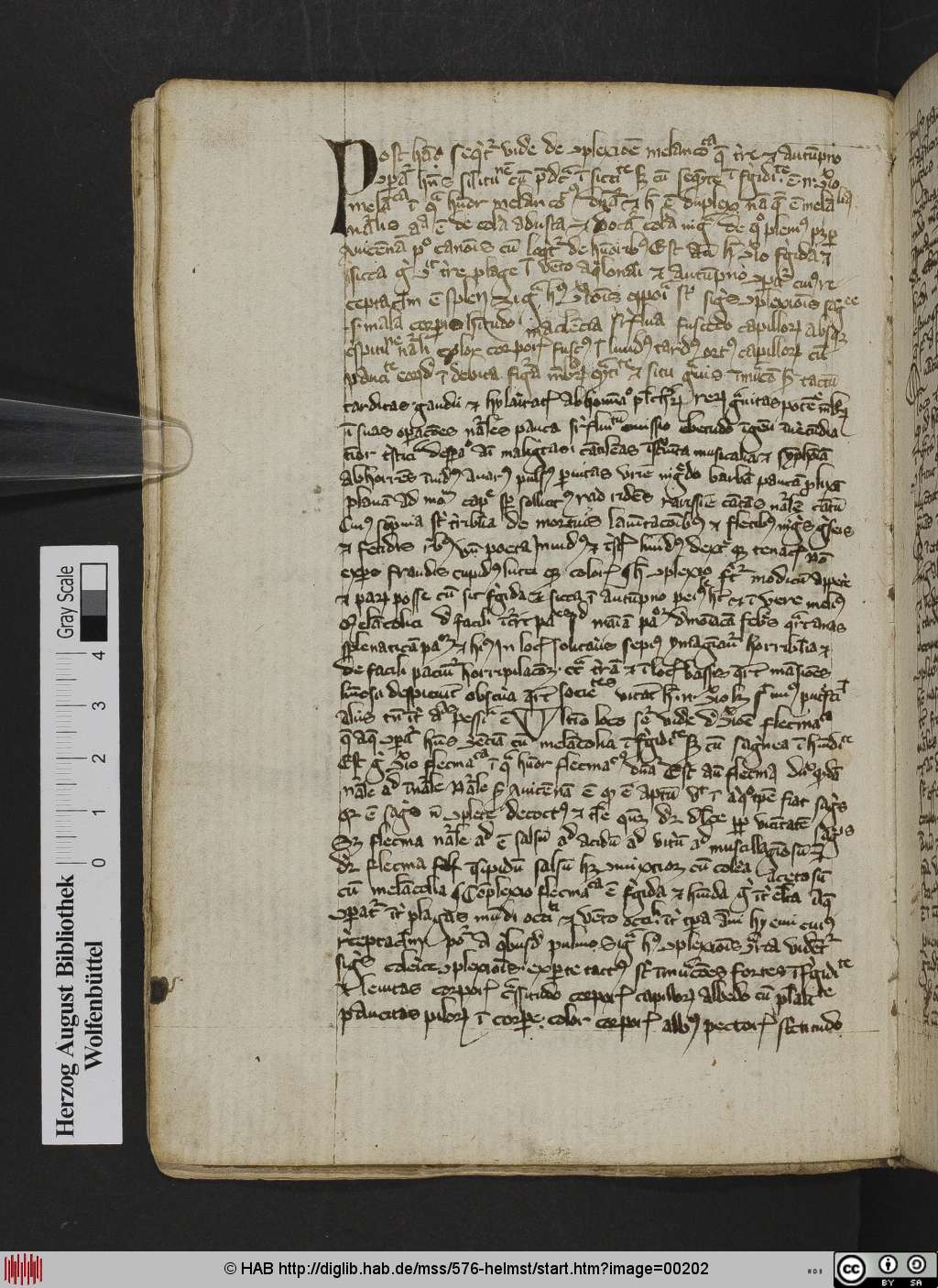 http://diglib.hab.de/mss/576-helmst/00202.jpg