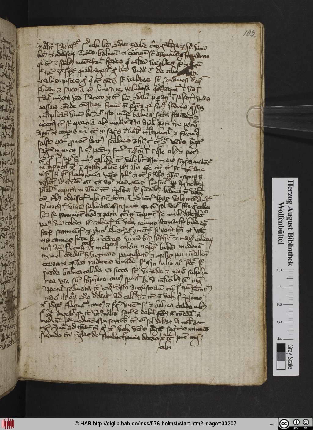 http://diglib.hab.de/mss/576-helmst/00207.jpg
