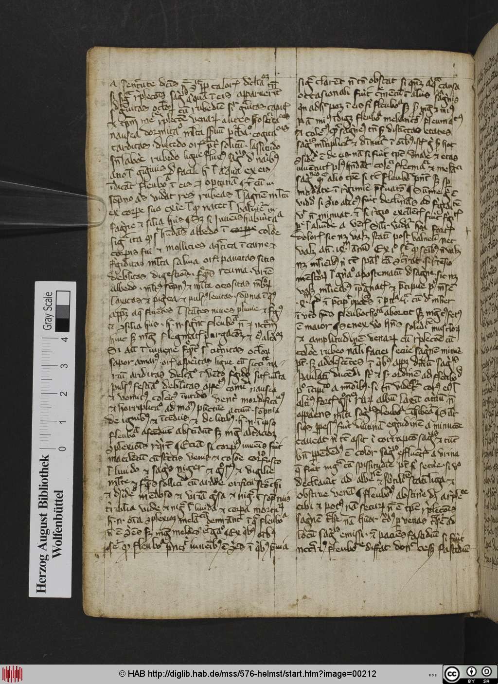 http://diglib.hab.de/mss/576-helmst/00212.jpg