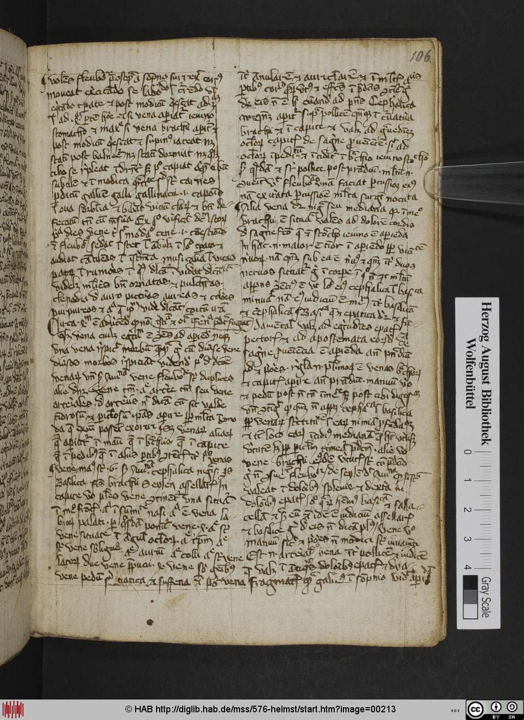 http://diglib.hab.de/mss/576-helmst/00213.jpg