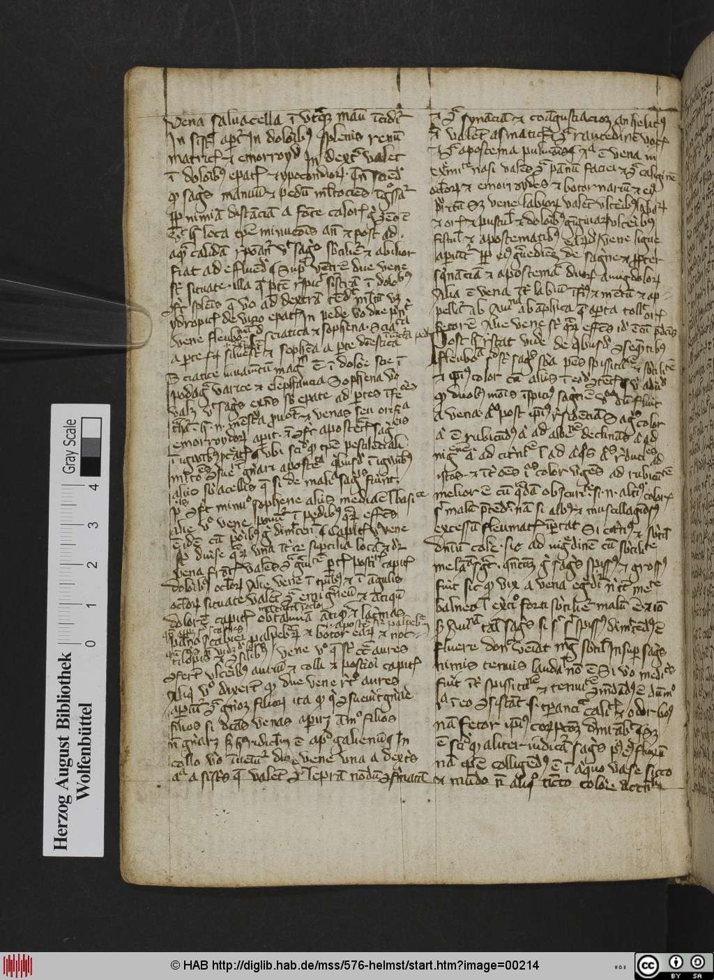 http://diglib.hab.de/mss/576-helmst/00214.jpg