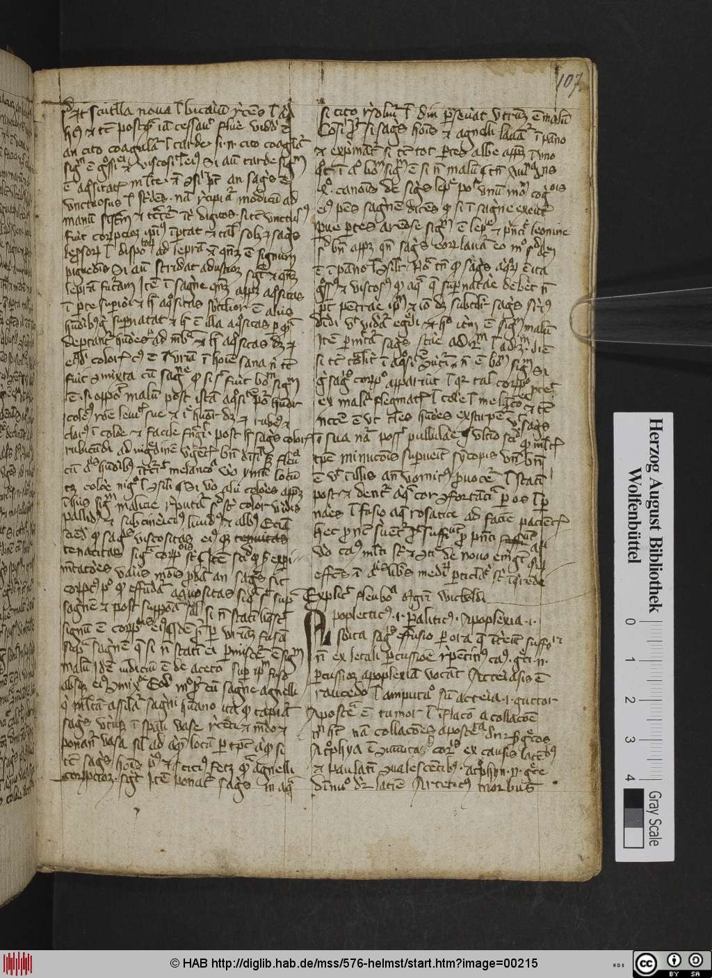 http://diglib.hab.de/mss/576-helmst/00215.jpg