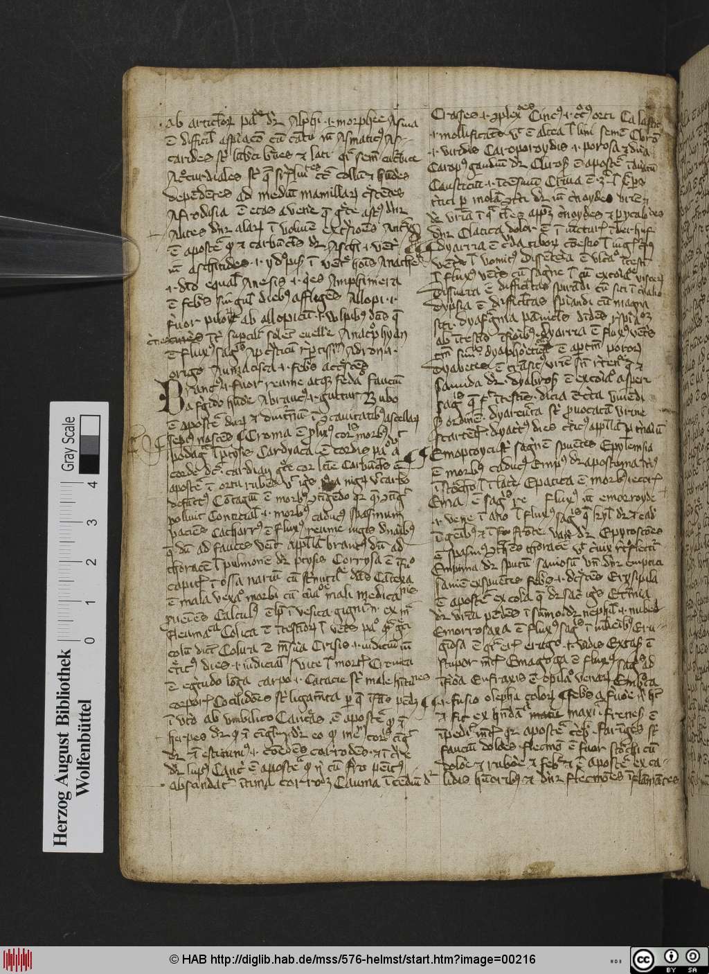 http://diglib.hab.de/mss/576-helmst/00216.jpg
