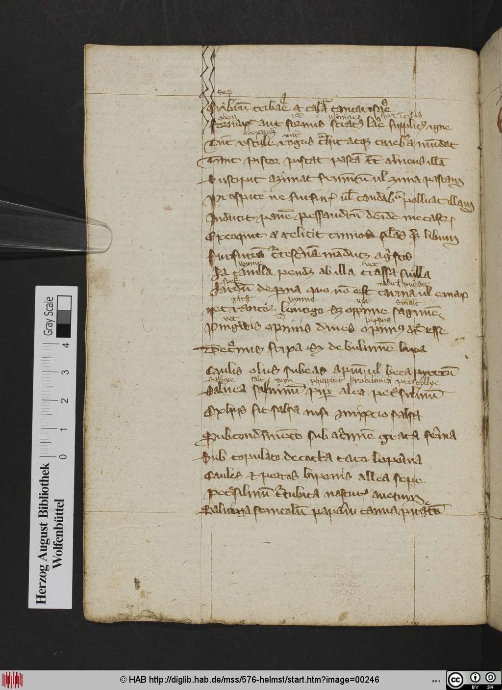 http://diglib.hab.de/mss/576-helmst/00246.jpg