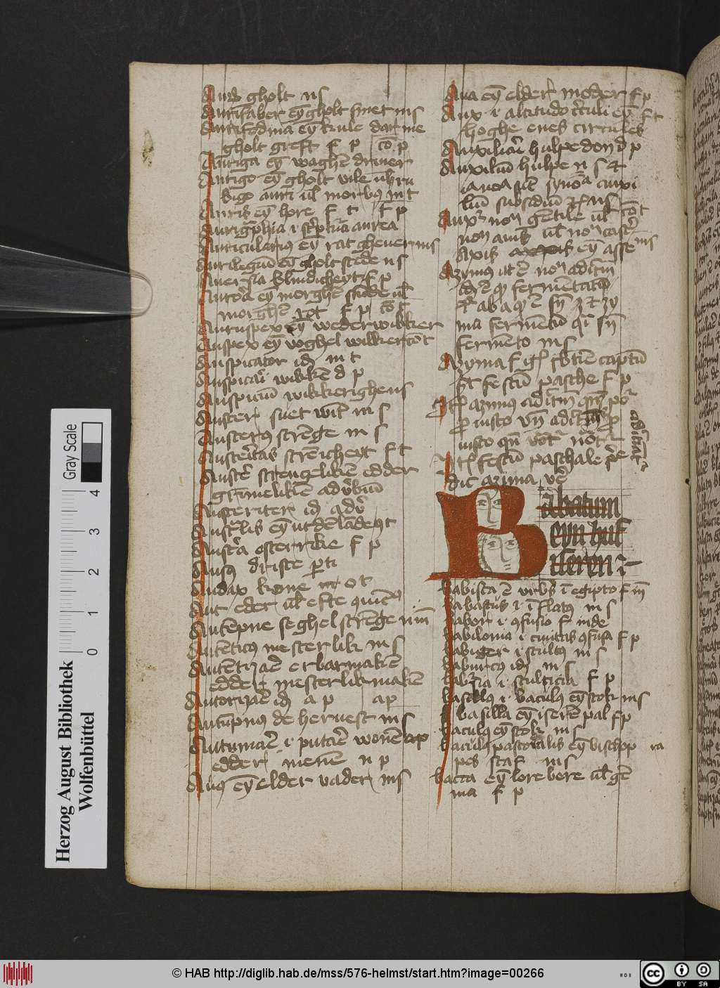 http://diglib.hab.de/mss/576-helmst/00266.jpg