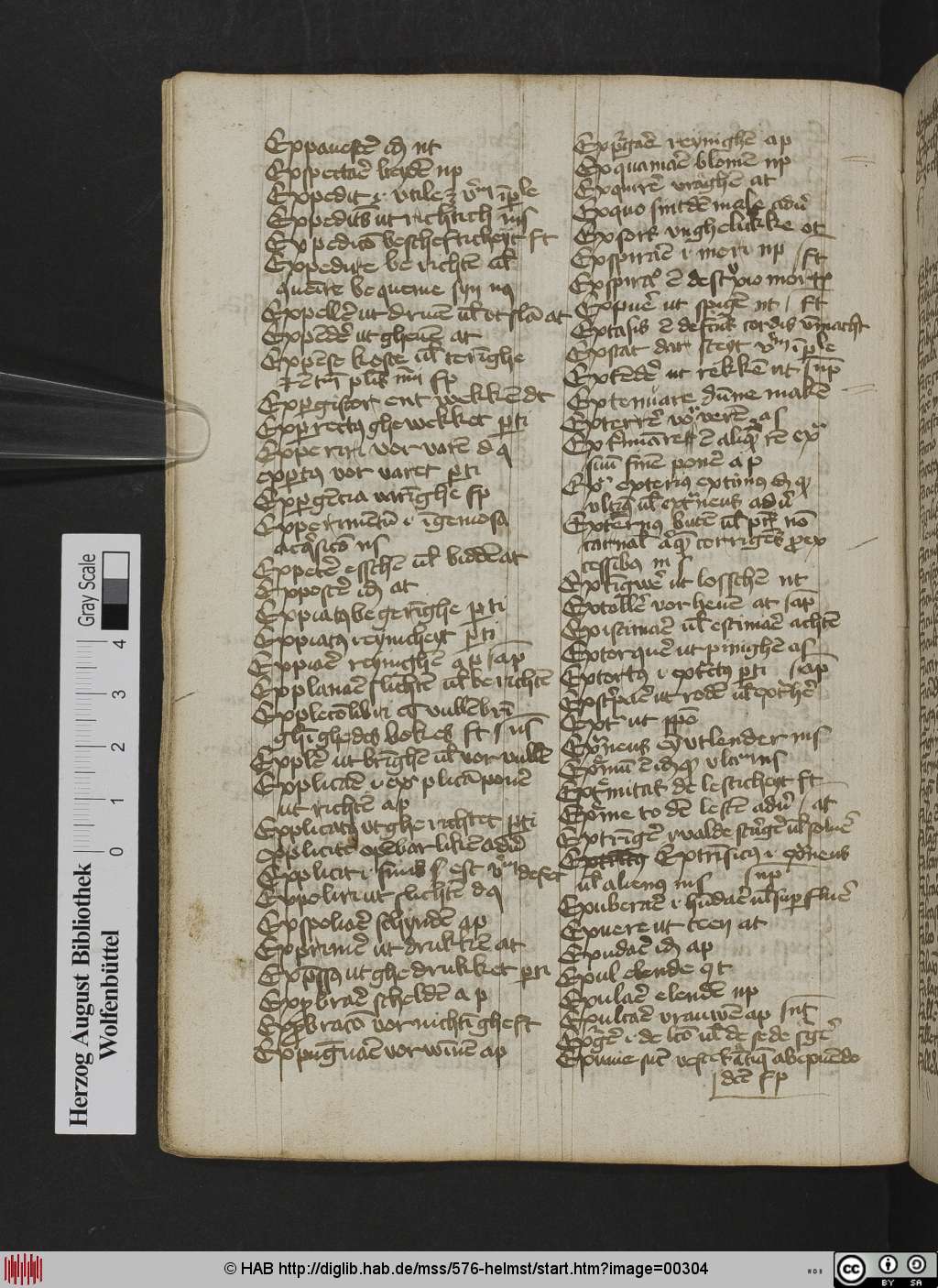 http://diglib.hab.de/mss/576-helmst/00304.jpg