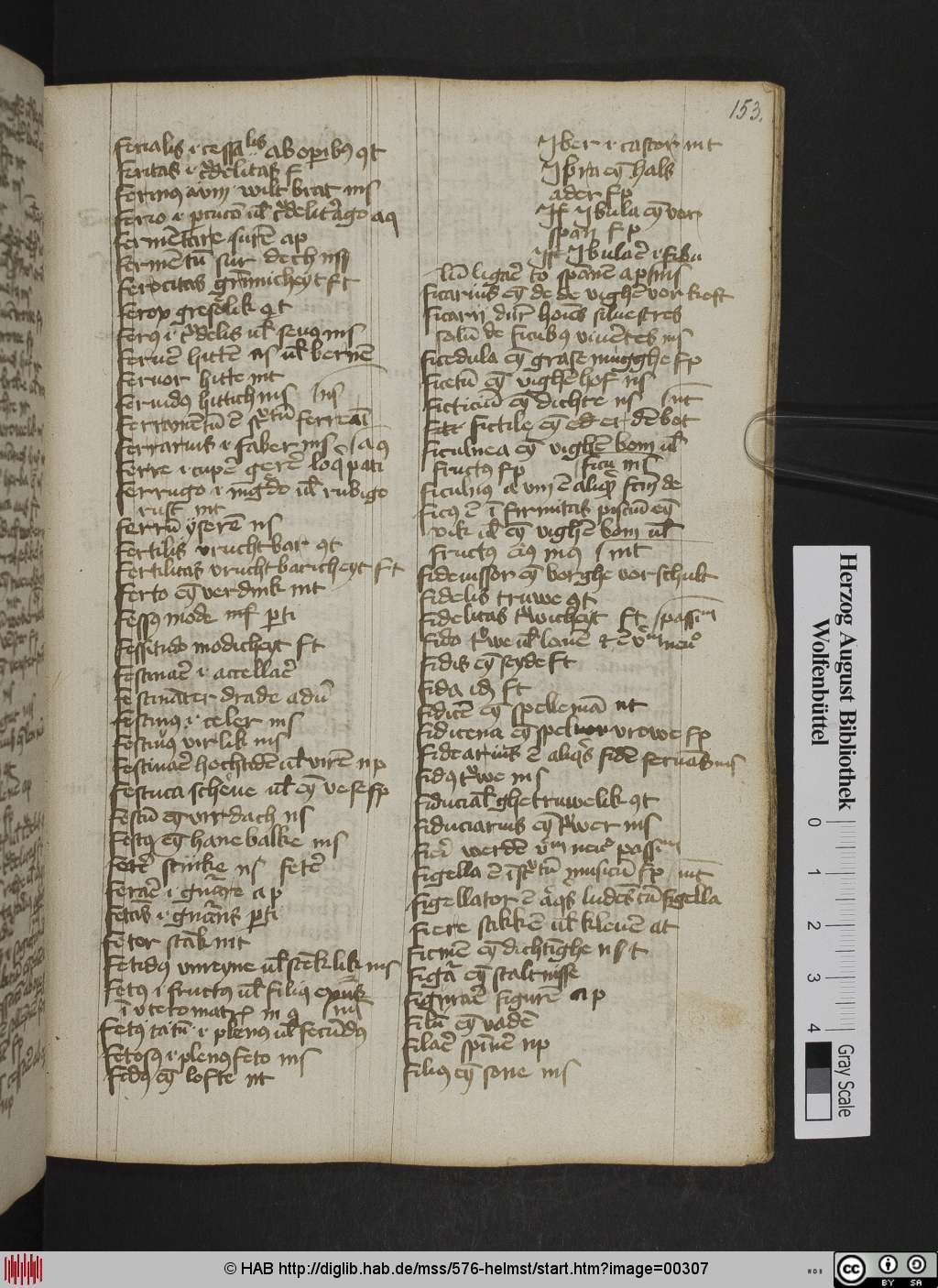 http://diglib.hab.de/mss/576-helmst/00307.jpg