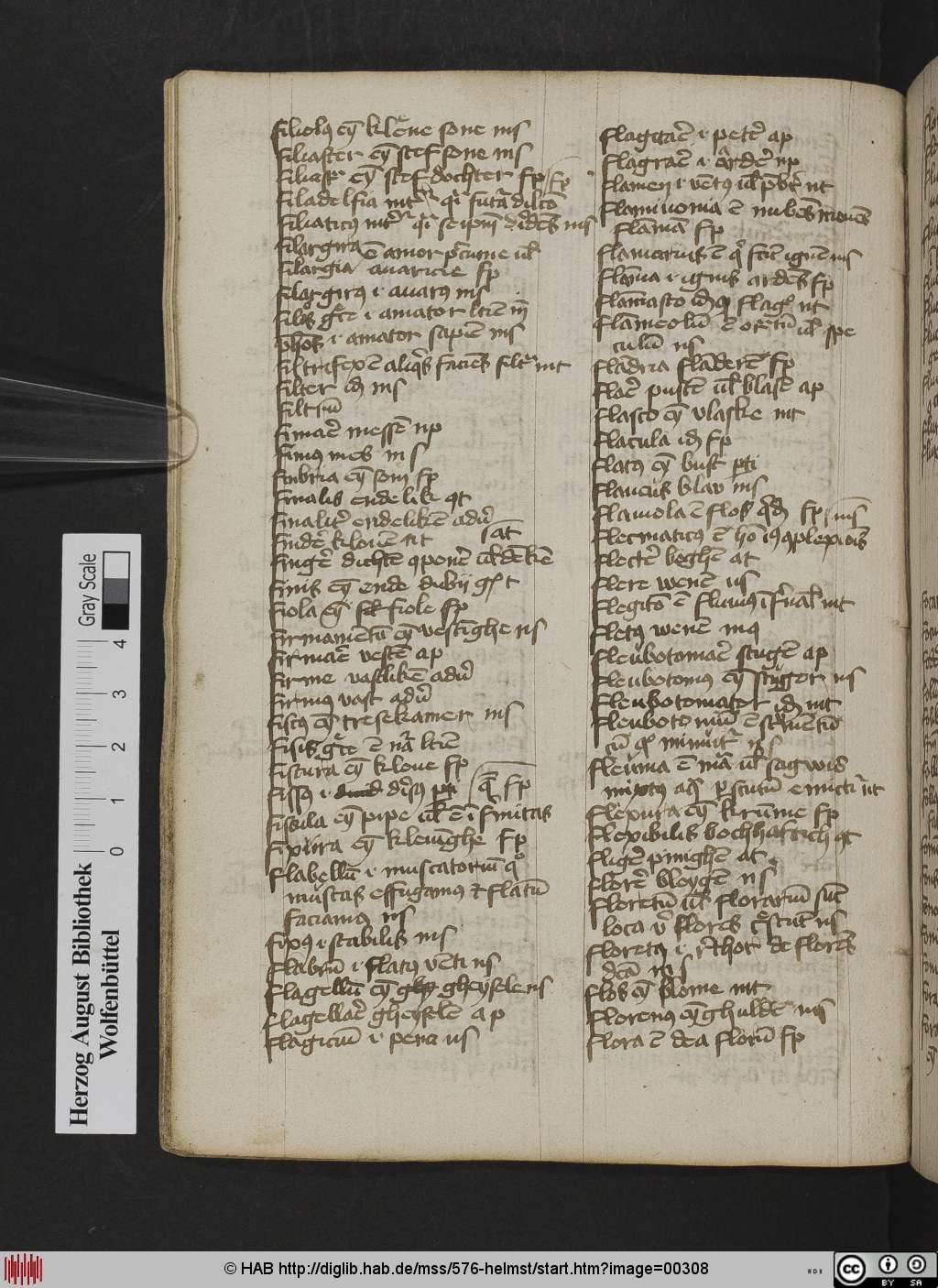 http://diglib.hab.de/mss/576-helmst/00308.jpg