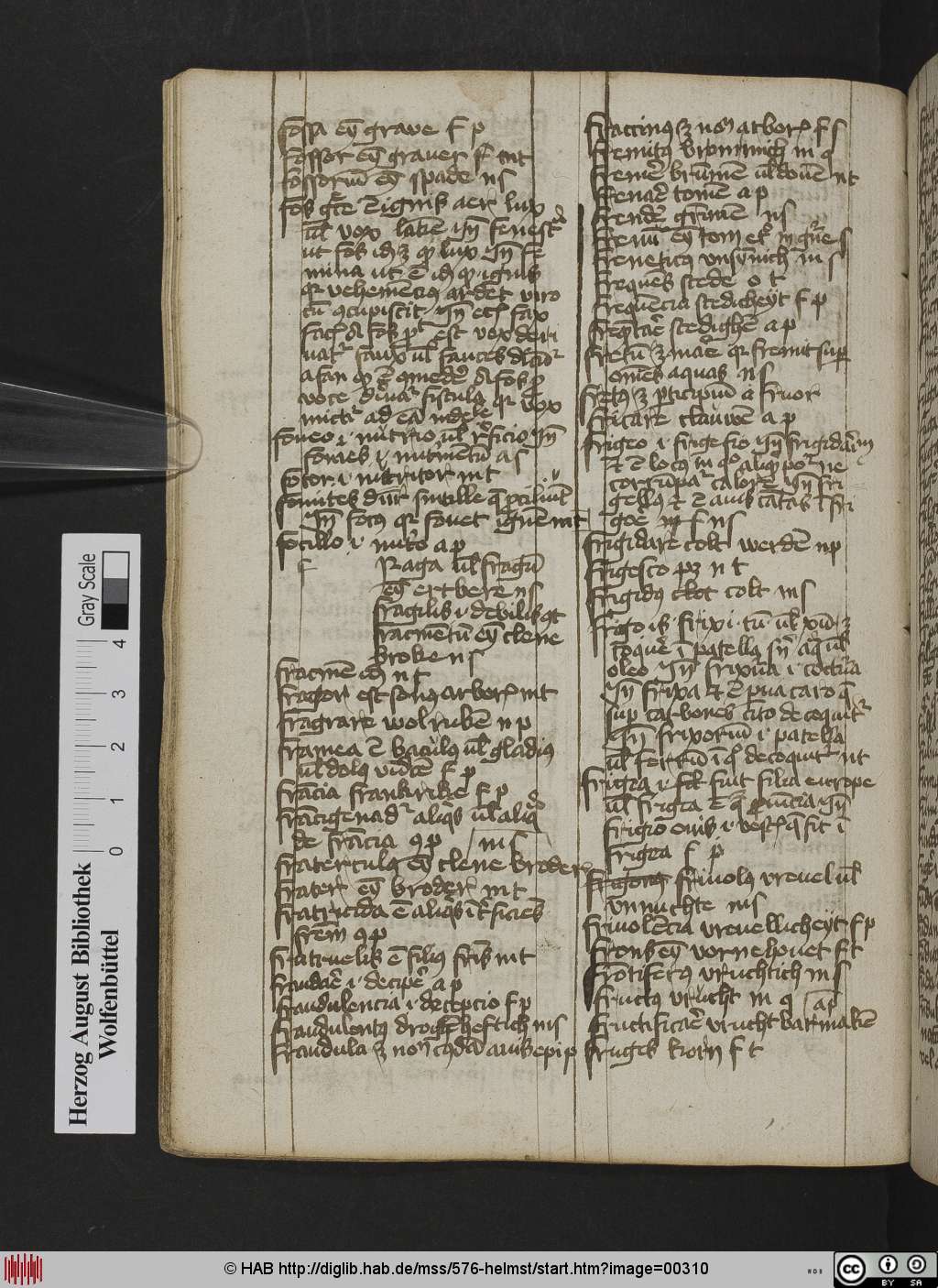 http://diglib.hab.de/mss/576-helmst/00310.jpg