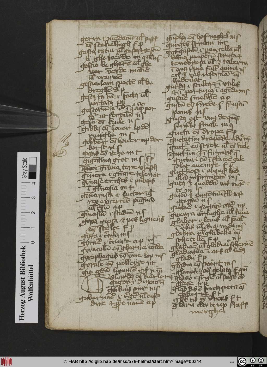 http://diglib.hab.de/mss/576-helmst/00314.jpg