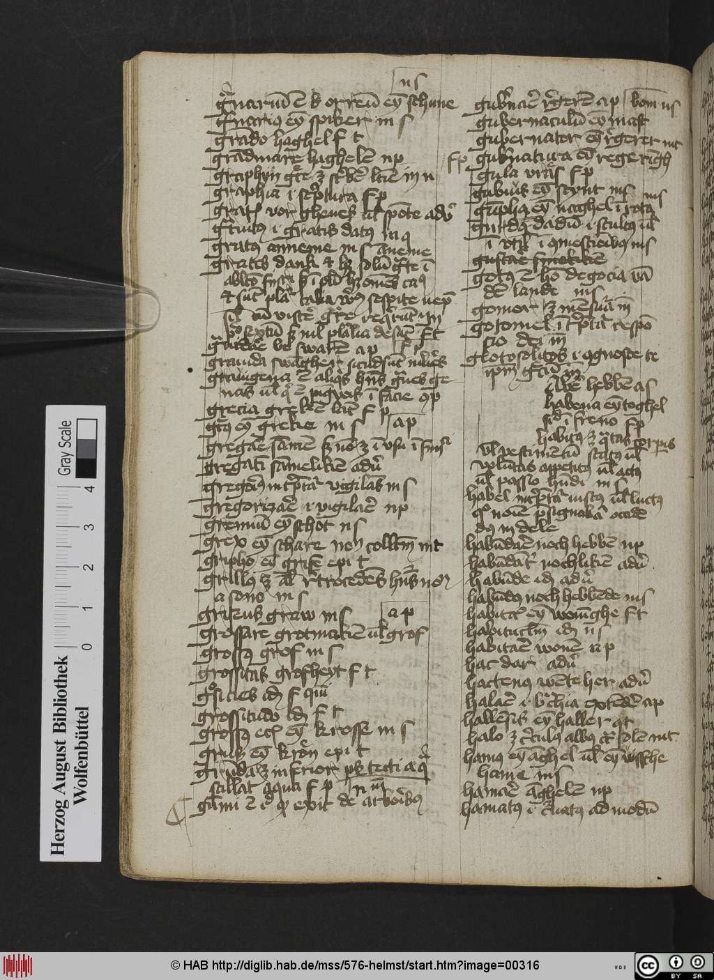 http://diglib.hab.de/mss/576-helmst/00316.jpg