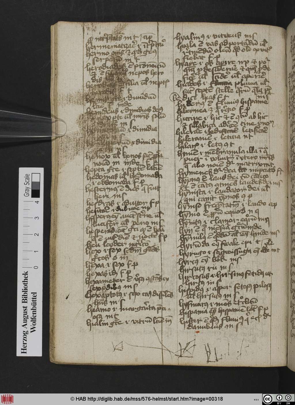 http://diglib.hab.de/mss/576-helmst/00318.jpg