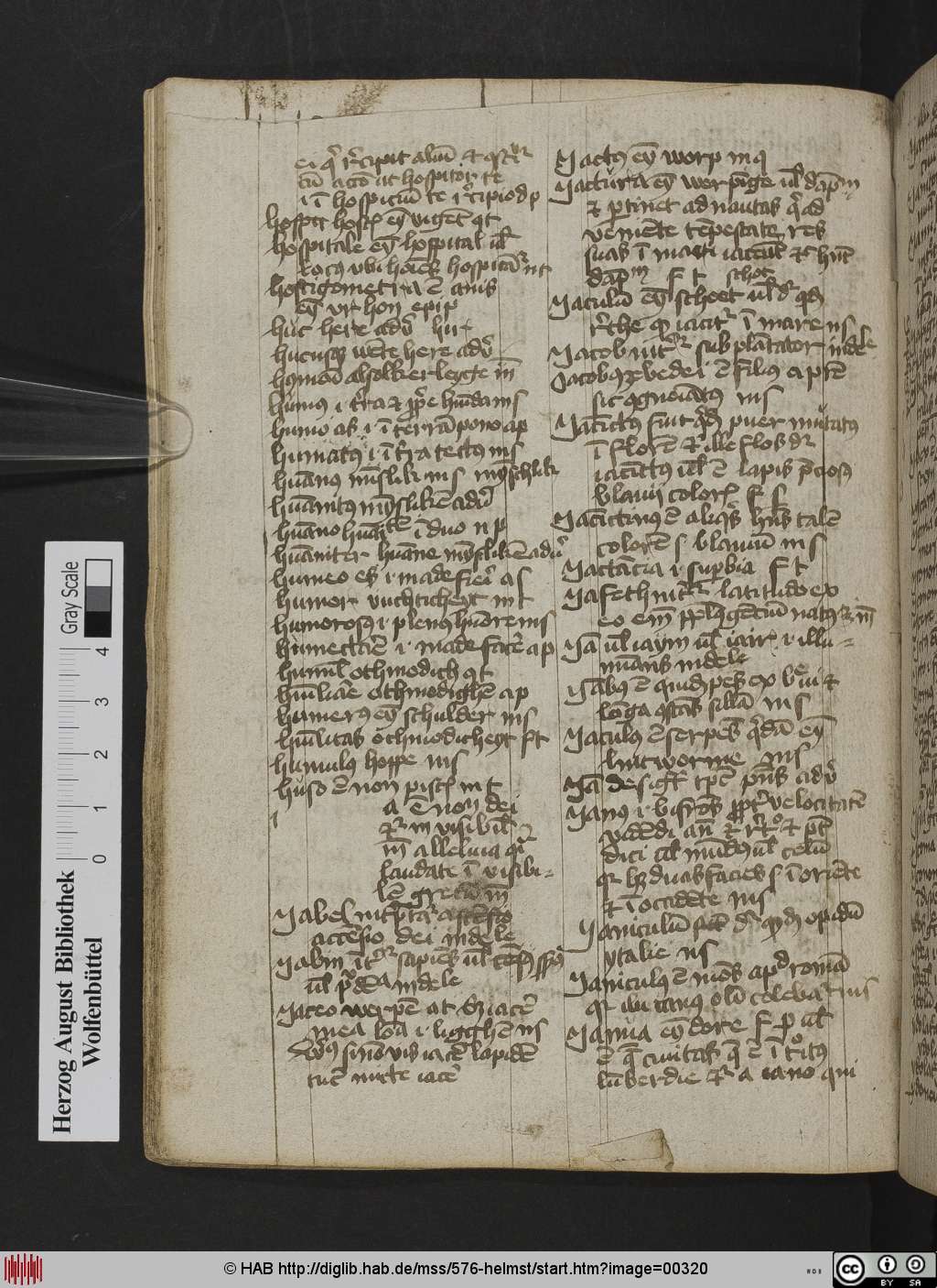 http://diglib.hab.de/mss/576-helmst/00320.jpg