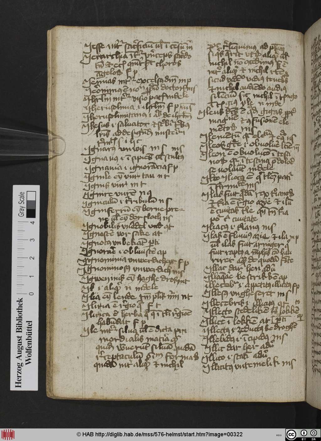 http://diglib.hab.de/mss/576-helmst/00322.jpg