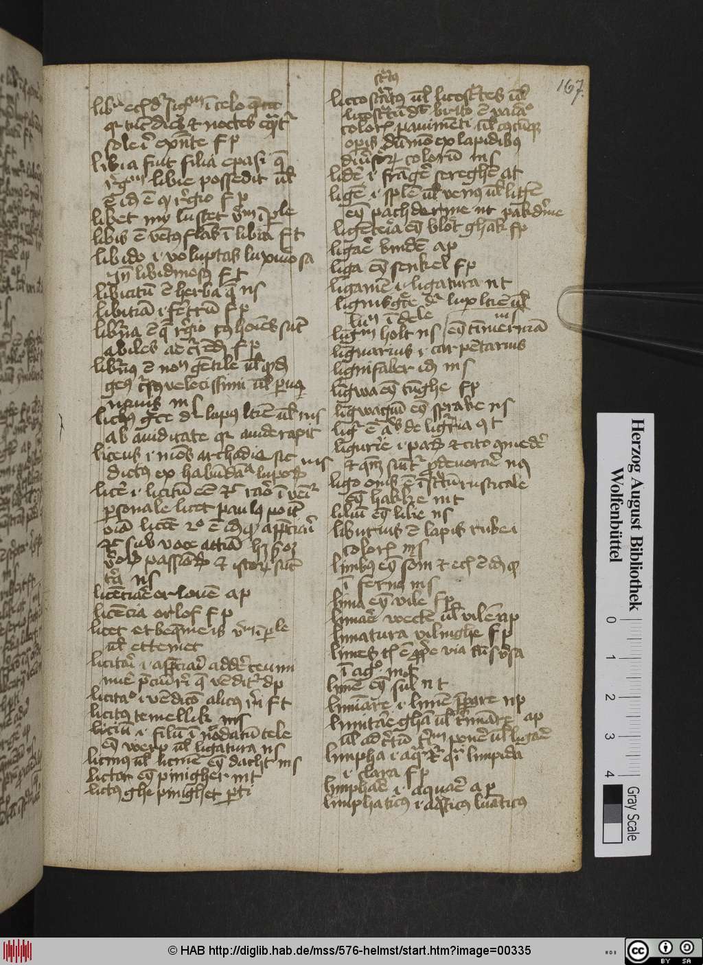 http://diglib.hab.de/mss/576-helmst/00335.jpg