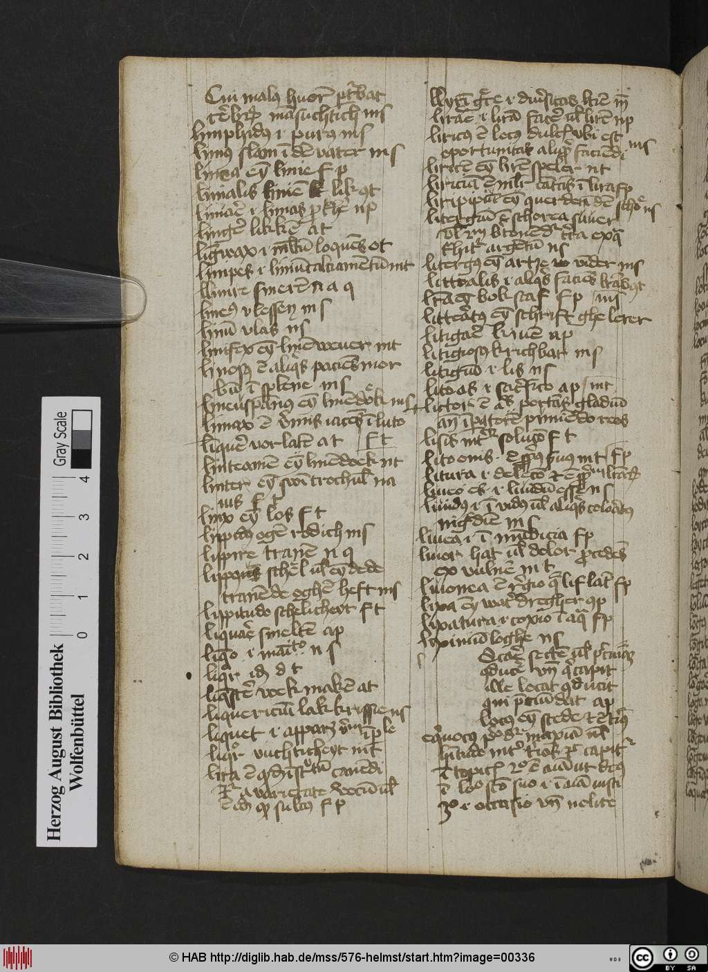 http://diglib.hab.de/mss/576-helmst/00336.jpg