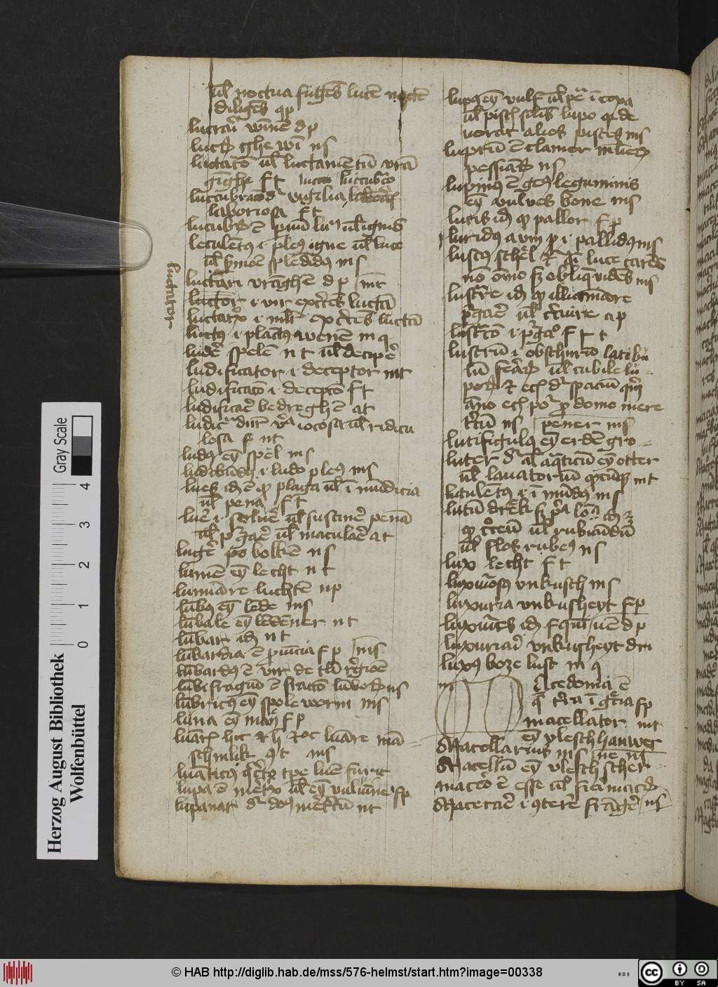 http://diglib.hab.de/mss/576-helmst/00338.jpg