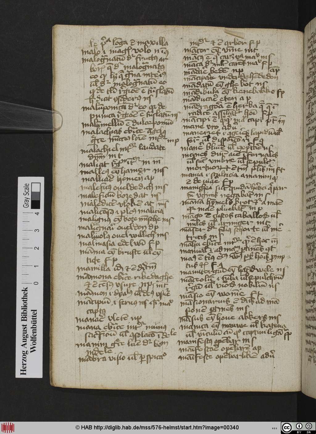http://diglib.hab.de/mss/576-helmst/00340.jpg