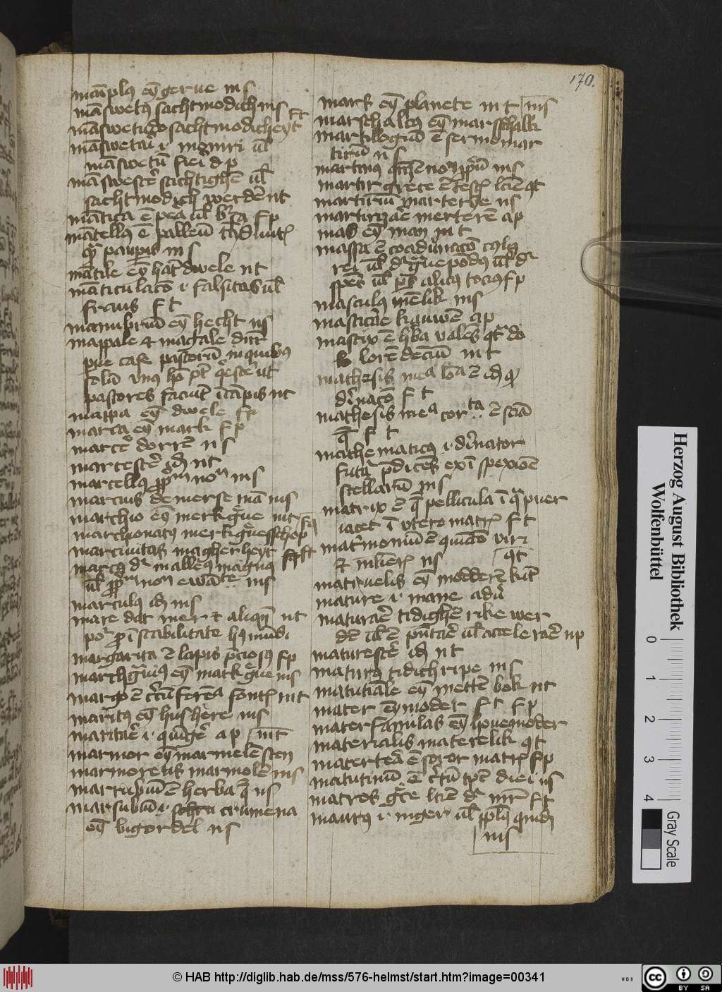 http://diglib.hab.de/mss/576-helmst/00341.jpg