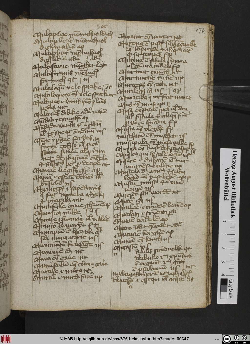 http://diglib.hab.de/mss/576-helmst/00347.jpg