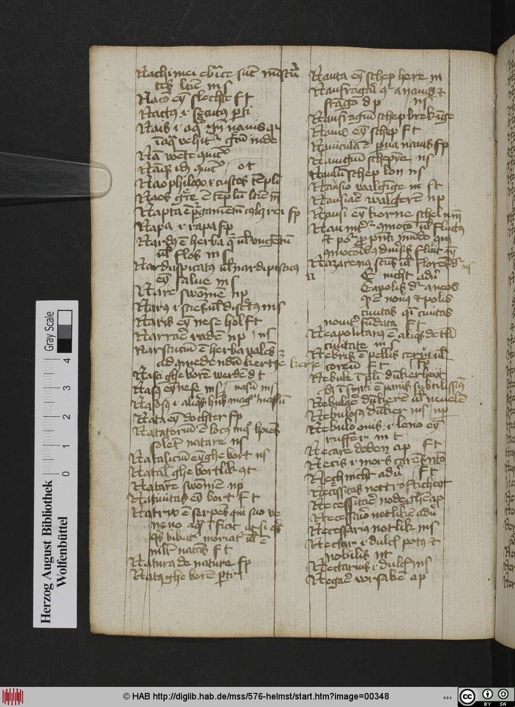 http://diglib.hab.de/mss/576-helmst/00348.jpg