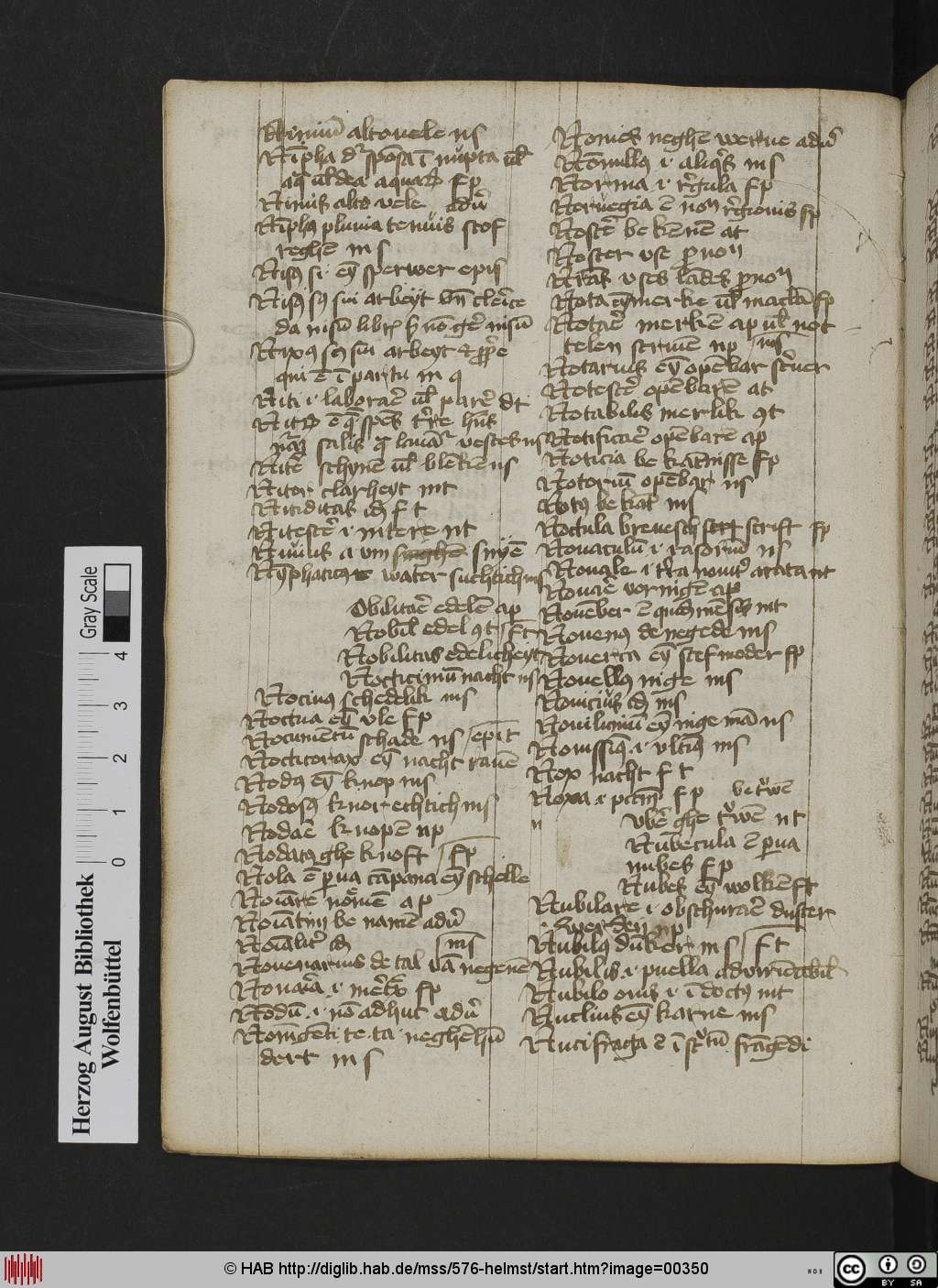 http://diglib.hab.de/mss/576-helmst/00350.jpg
